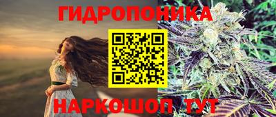 спиды Волгодонск