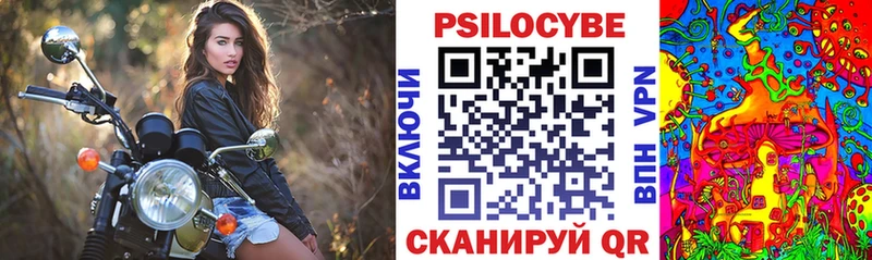 Псилоцибиновые грибы мухоморы  кракен ССЫЛКА  Апрелевка  как найти закладки 