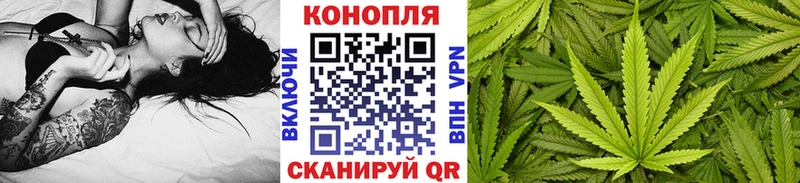 где купить наркоту  Апрелевка  дарк нет наркотические препараты  МАРИХУАНА сатива 